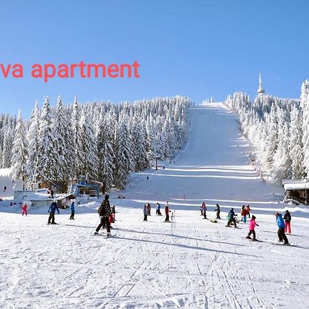 Viva 6 Apartment In Hotel Stenata Pamporovo Eksteriør bilde